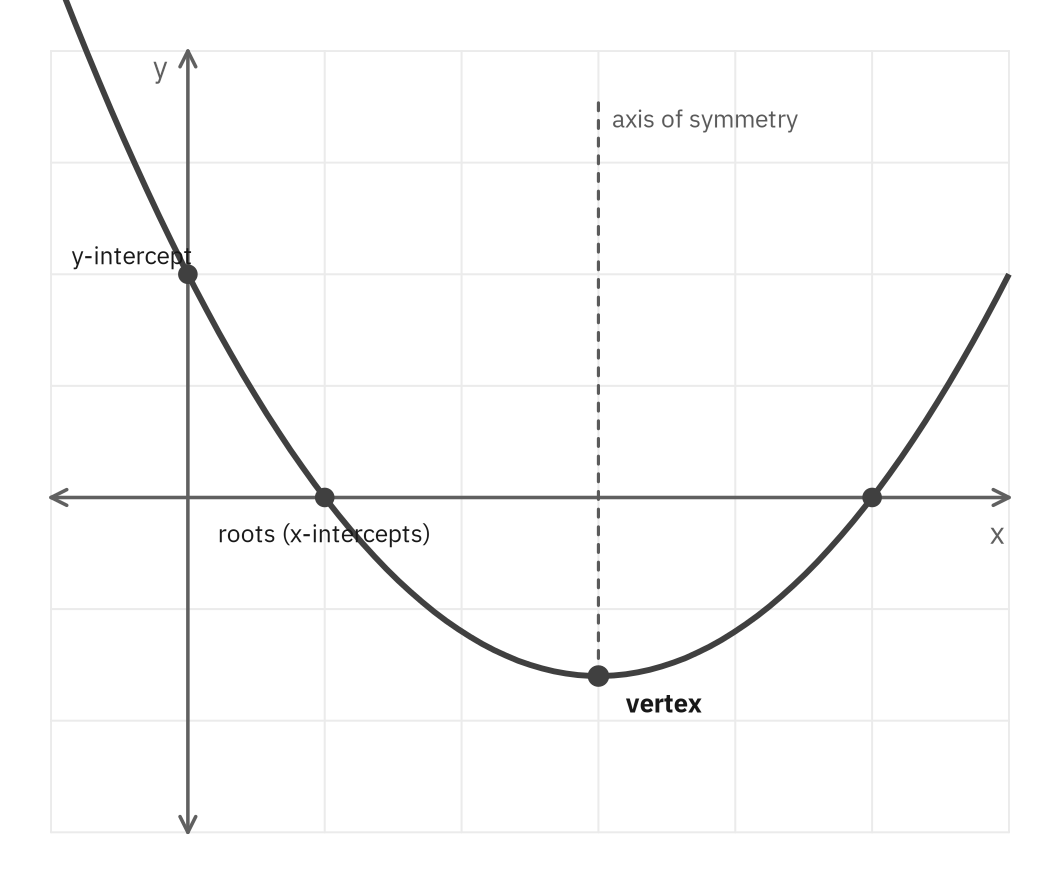 A parabola opening upward with its two roots on the x-axis, its vertex, its y-intercept, and a dashed axis of symmetry through the vertex